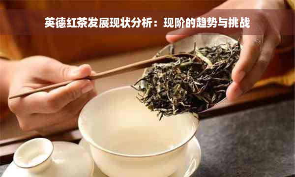 英德红茶发展现状分析：现阶的趋势与挑战