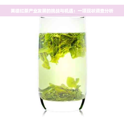 英德红茶产业发展的挑战与机遇：一项现状调查分析