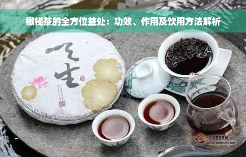 橄榄茶的全方位益处：功效、作用及饮用方法解析