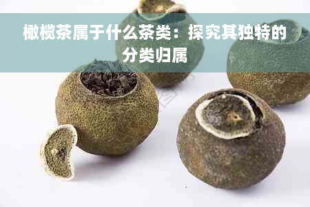 橄榄茶属于什么茶类：探究其独特的分类归属