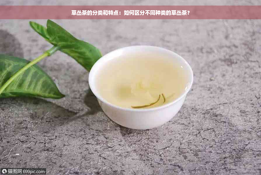 草丛茶的分类和特点：如何区分不同种类的草丛茶？