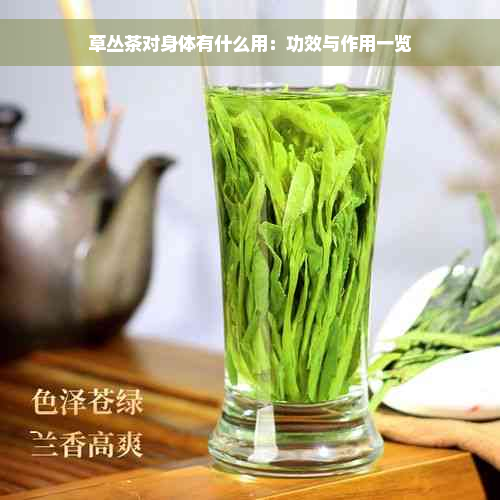 草丛茶对身体有什么用：功效与作用一览