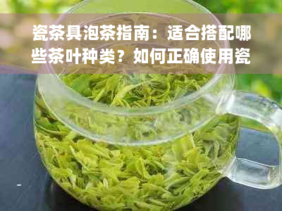 瓷茶具泡茶指南：适合搭配哪些茶叶种类？如何正确使用瓷茶具泡茶？