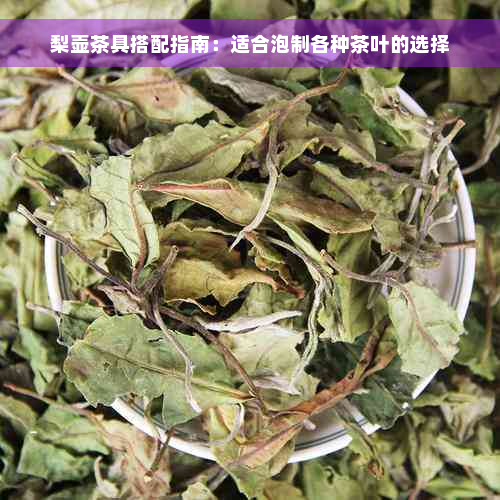 梨壶茶具搭配指南：适合泡制各种茶叶的选择