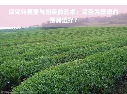 探究钧窑壶与泡茶的艺术：是否为理想的茶具选择？