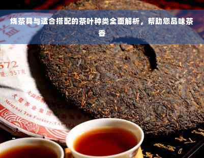 烧茶具与适合搭配的茶叶种类全面解析，帮助您品味茶香