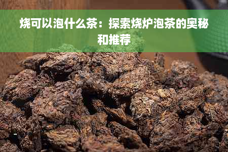 烧可以泡什么茶：探索烧炉泡茶的奥秘和推荐