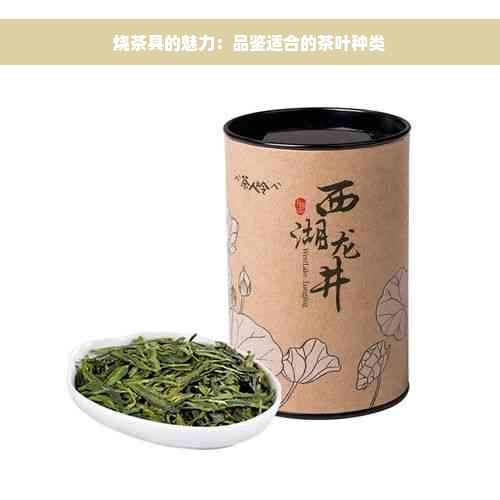 烧茶具的魅力：品鉴适合的茶叶种类