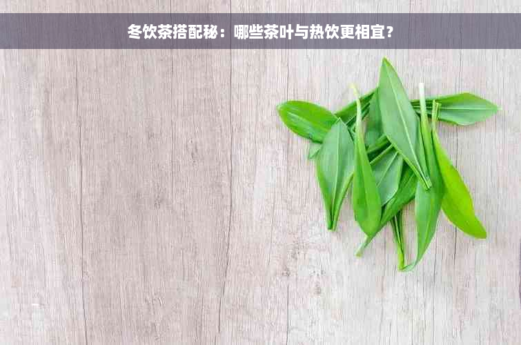 冬饮茶搭配秘：哪些茶叶与热饮更相宜？