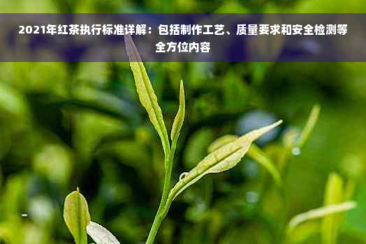 2021年红茶执行标准详解：包括制作工艺、质量要求和安全检测等全方位内容