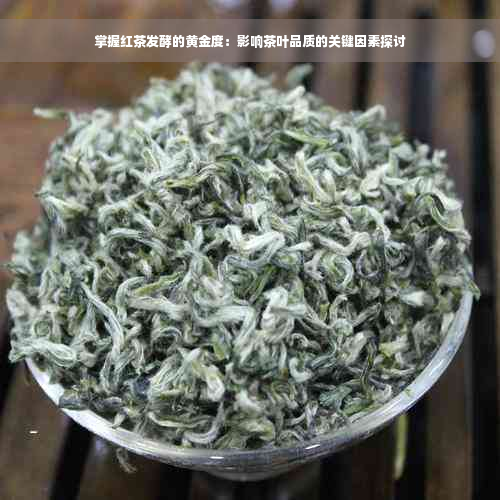 掌握红茶发酵的黄金度：影响茶叶品质的关键因素探讨