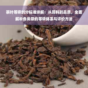 茶叶等级划分标准详解：从原料到品质，全面解析各类茶的等级体系与评价方法