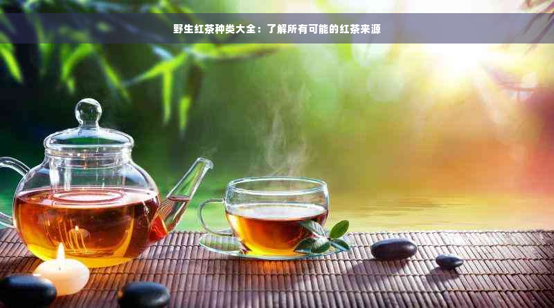 野生红茶种类大全：了解所有可能的红茶来源