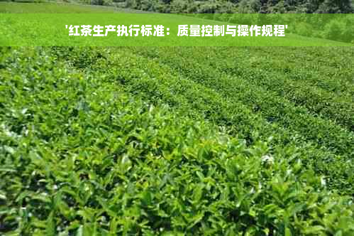 '红茶生产执行标准：质量控制与操作规程'