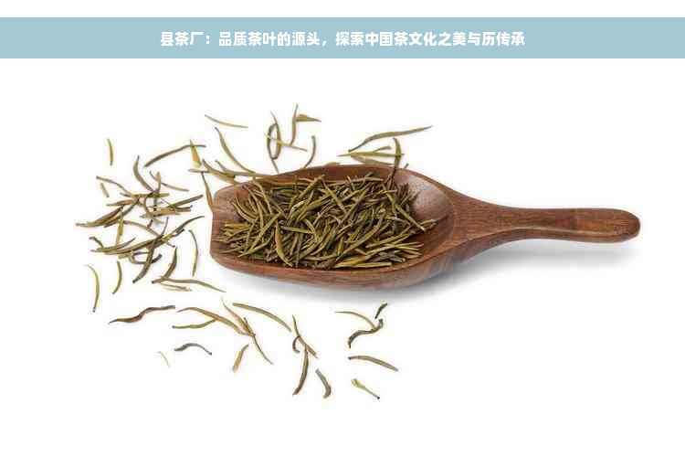 县茶厂：品质茶叶的源头，探索中国茶文化之美与历传承