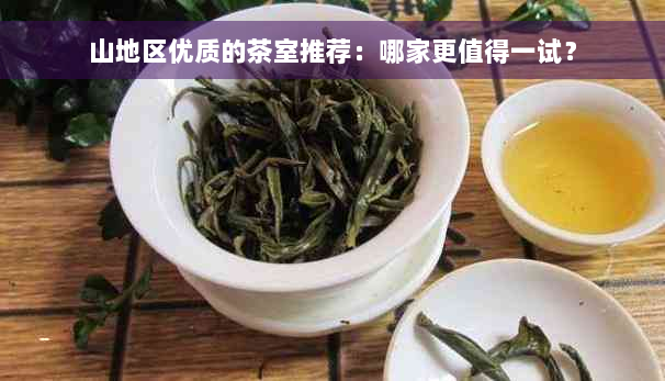 山地区优质的茶室推荐：哪家更值得一试？