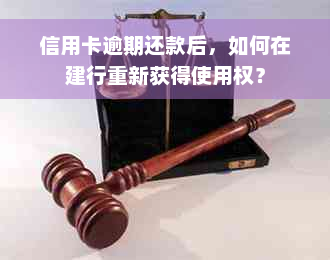 信用卡逾期还款后，如何在建行重新获得使用权？