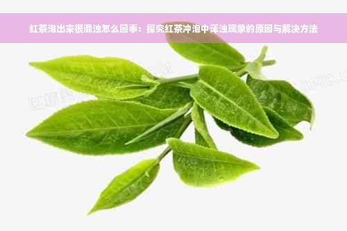 红茶泡出来很混浊怎么回事：探究红茶冲泡中浑浊现象的原因与解决方法