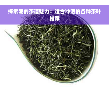 探索泥的茶道魅力：适合冲泡的各种茶叶推荐