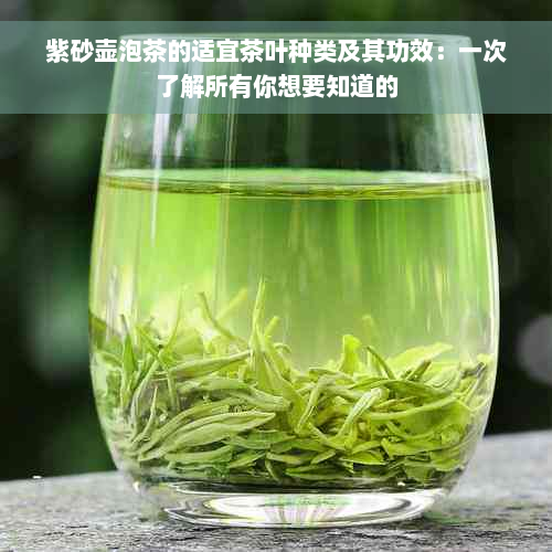 紫砂壶泡茶的适宜茶叶种类及其功效：一次了解所有你想要知道的