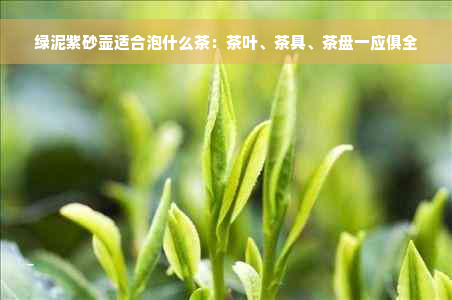 绿泥紫砂壶适合泡什么茶：茶叶、茶具、茶盘一应俱全