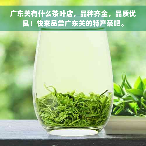 广东关有什么茶叶店，品种齐全，品质优良！快来品尝广东关的特产茶吧。