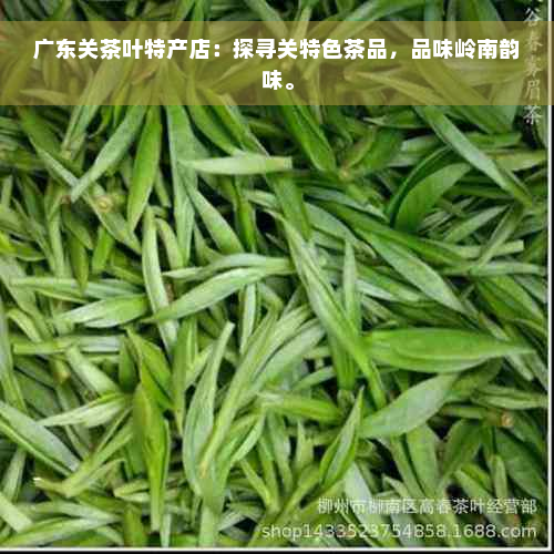 广东关茶叶特产店：探寻关特色茶品，品味岭南韵味。