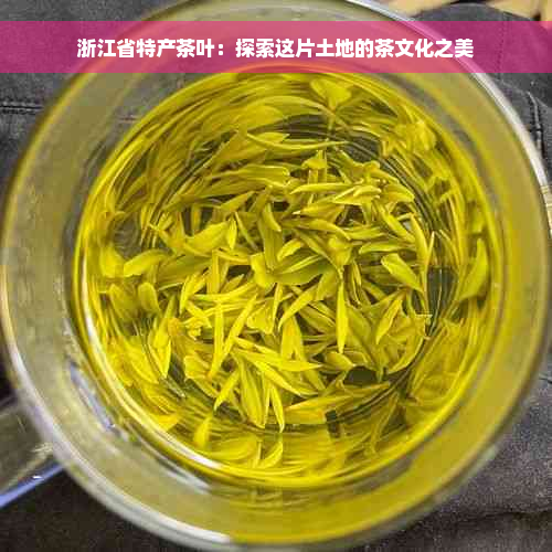 浙江省特产茶叶：探索这片土地的茶文化之美