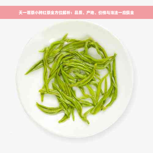 天一茗茶小种红茶全方位解析：品质、产地、价格与泡法一应俱全