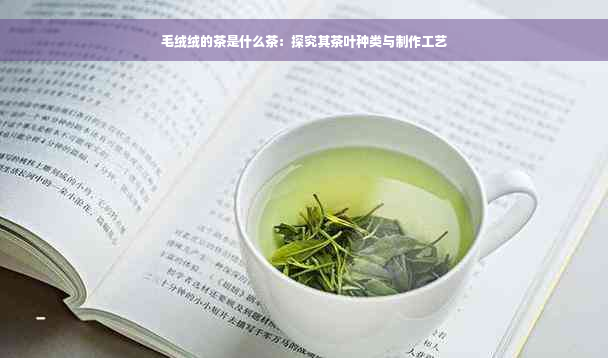 毛绒绒的茶是什么茶：探究其茶叶种类与制作工艺