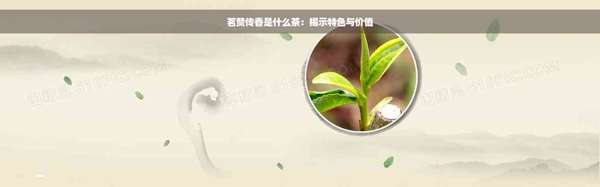 茗赞传香是什么茶：揭示特色与价值