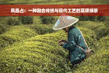 凤凰占：一种融合传统与现代工艺的高级绿茶