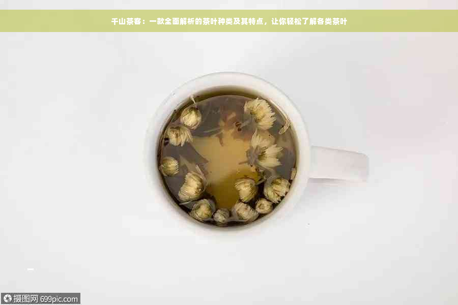 千山茶客：一款全面解析的茶叶种类及其特点，让你轻松了解各类茶叶