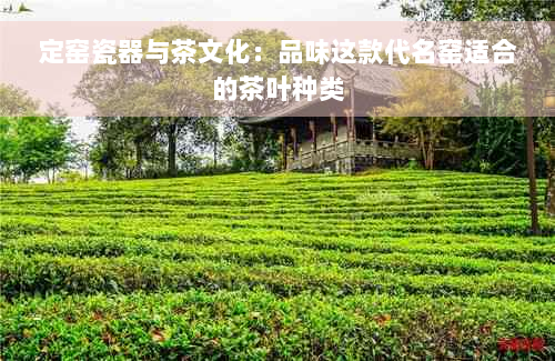 定窑瓷器与茶文化：品味这款代名窑适合的茶叶种类