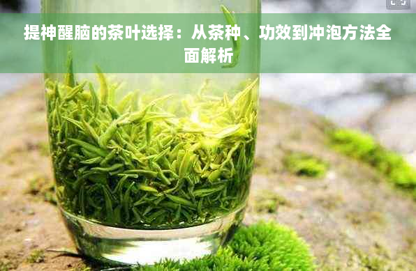 提神醒脑的茶叶选择：从茶种、功效到冲泡方法全面解析