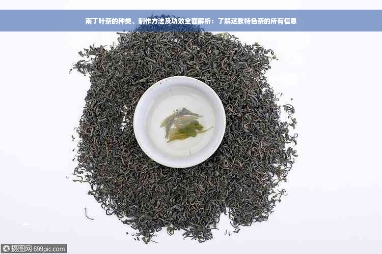 南丁叶茶的种类、制作方法及功效全面解析：了解这款特色茶的所有信息