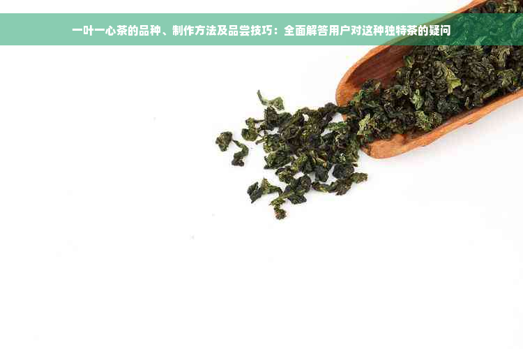 一叶一心茶的品种、制作方法及品尝技巧：全面解答用户对这种独特茶的疑问