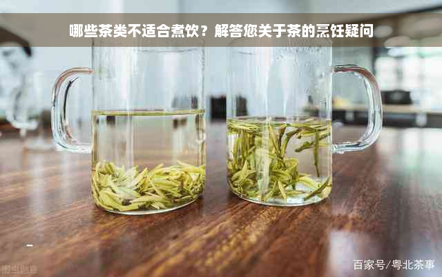 哪些茶类不适合煮饮？解答您关于茶的烹饪疑问