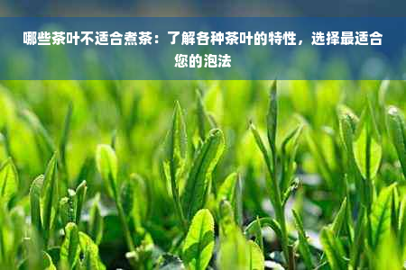 哪些茶叶不适合煮茶：了解各种茶叶的特性，选择最适合您的泡法