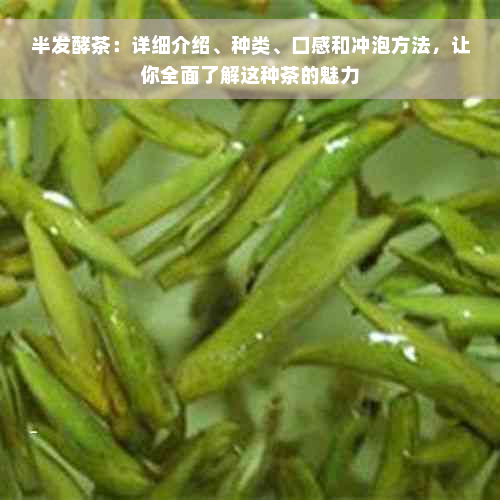 半发酵茶：详细介绍、种类、口感和冲泡方法，让你全面了解这种茶的魅力