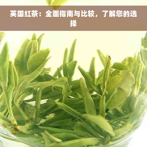 英国红茶：全面指南与比较，了解您的选择