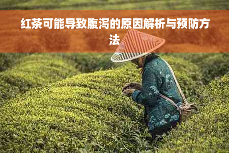 红茶可能导致腹泻的原因解析与预防方法