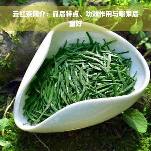 云红茶简介：品质特点、功效作用与哪家质量好