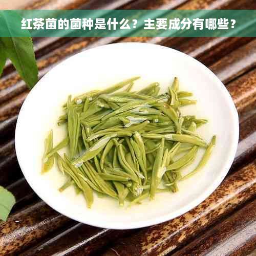 红茶菌的菌种是什么？主要成分有哪些？