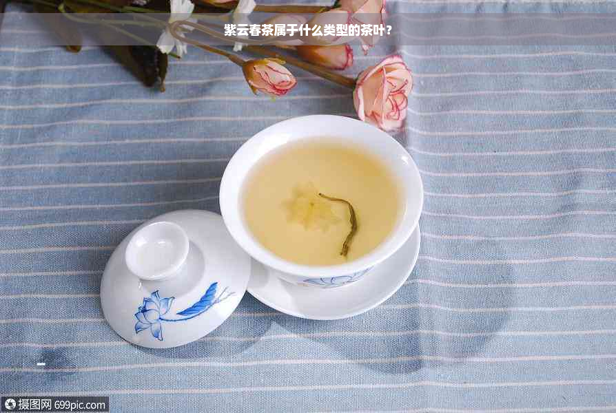 紫云春茶属于什么类型的茶叶？