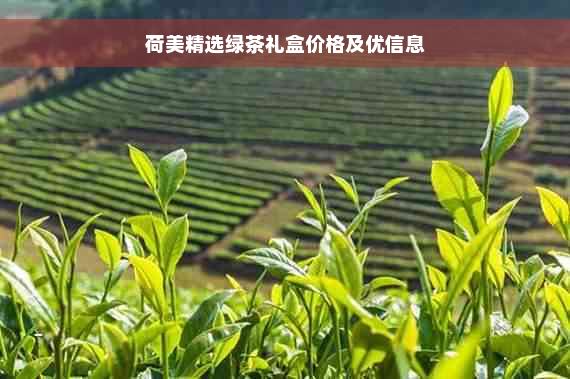 荷美精选绿茶礼盒价格及优信息