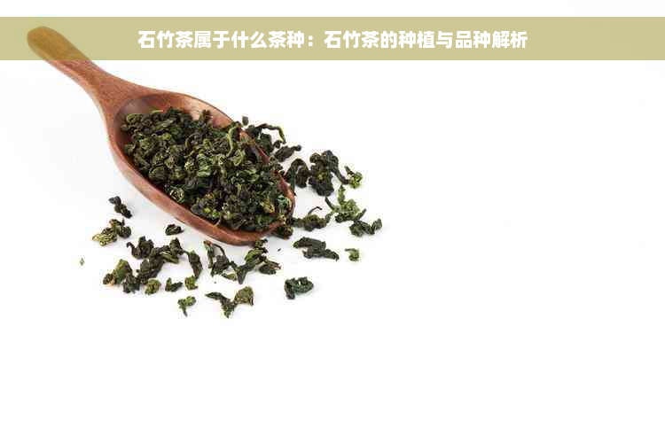 石竹茶属于什么茶种：石竹茶的种植与品种解析