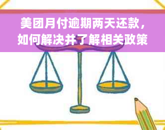 美团月付逾期两天还款，如何解决并了解相关政策和影响？