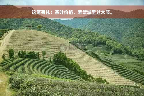 这厢有礼！茶叶价格，紫禁城里过大节。