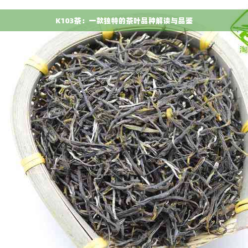 K103茶：一款独特的茶叶品种解读与品鉴